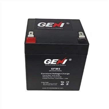 Pin axit chì kín 12V 5AH dự phòng