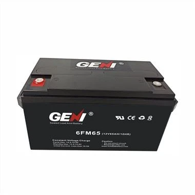 Pin axit chì kín 12V 65AH dự phòng