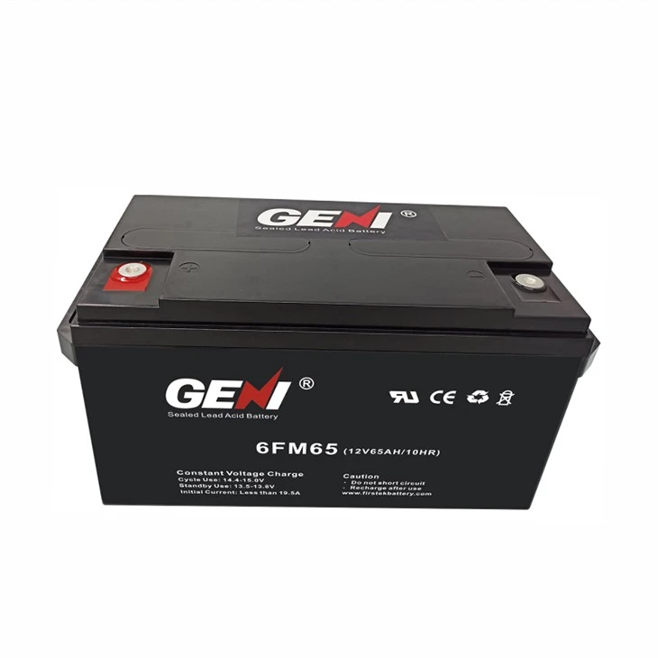 Pin axit chì kín 12V 65AH dự phòng